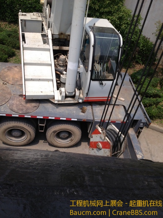 nEO_IMG_毛毛 301.jpg