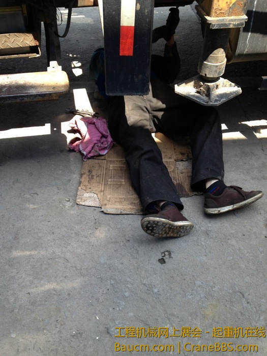 nEO_IMG_毛毛 256.jpg