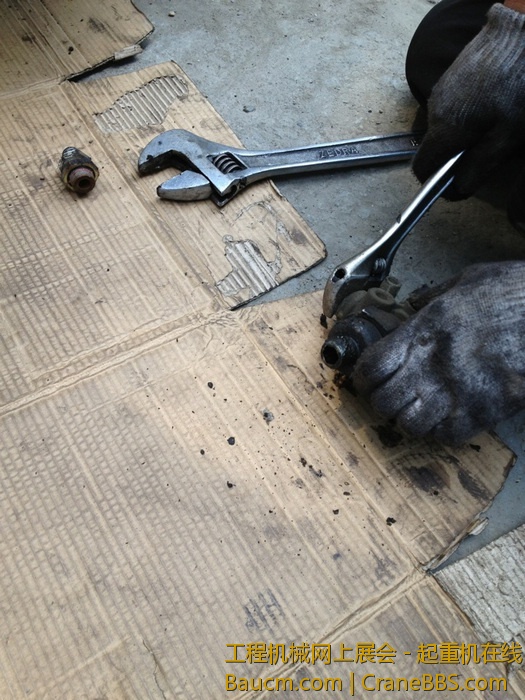 nEO_IMG_毛毛 257.jpg