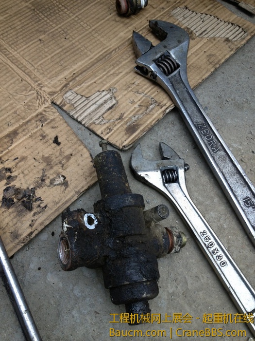 nEO_IMG_毛毛 258.jpg