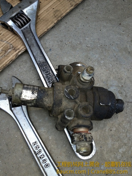 nEO_IMG_毛毛 259.jpg