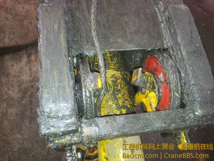 nEO_IMG_毛毛 237.jpg