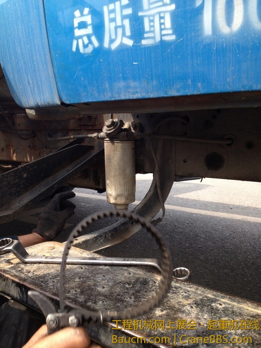 nEO_IMG_毛毛 369.jpg