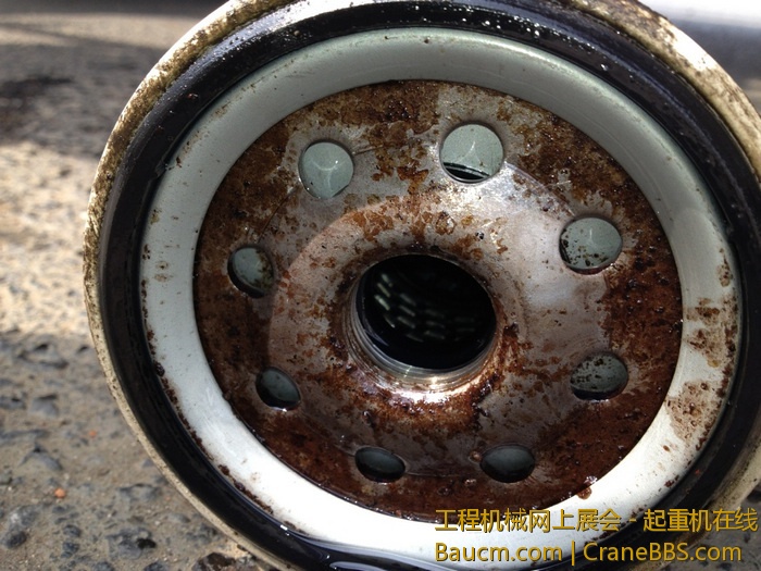 nEO_IMG_毛毛 371.jpg