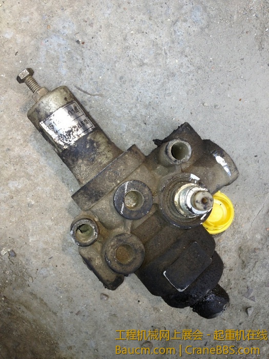 nEO_IMG_毛毛 260.jpg