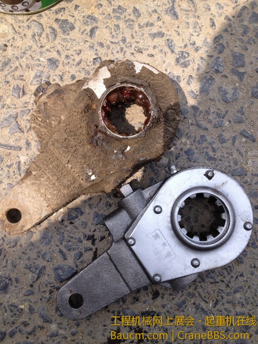 nEO_IMG_毛毛 378.jpg