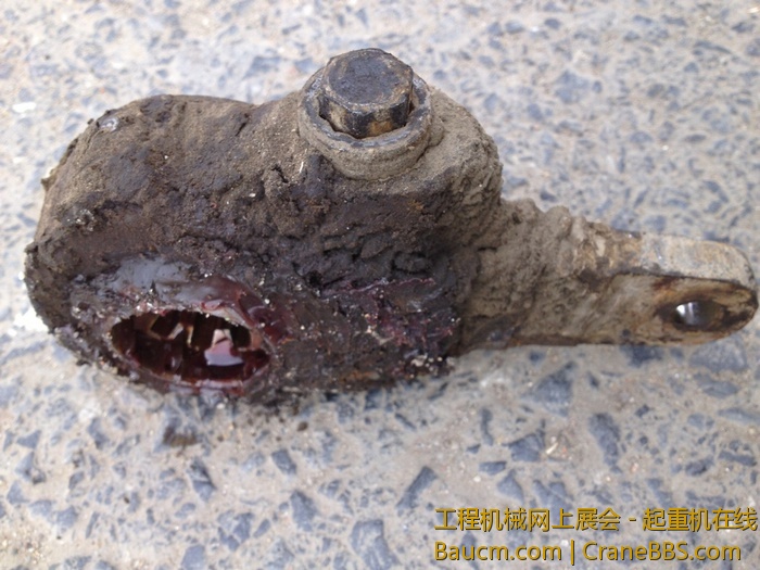 nEO_IMG_毛毛 380.jpg