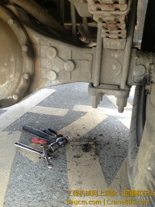 nEO_IMG_毛毛 376.jpg