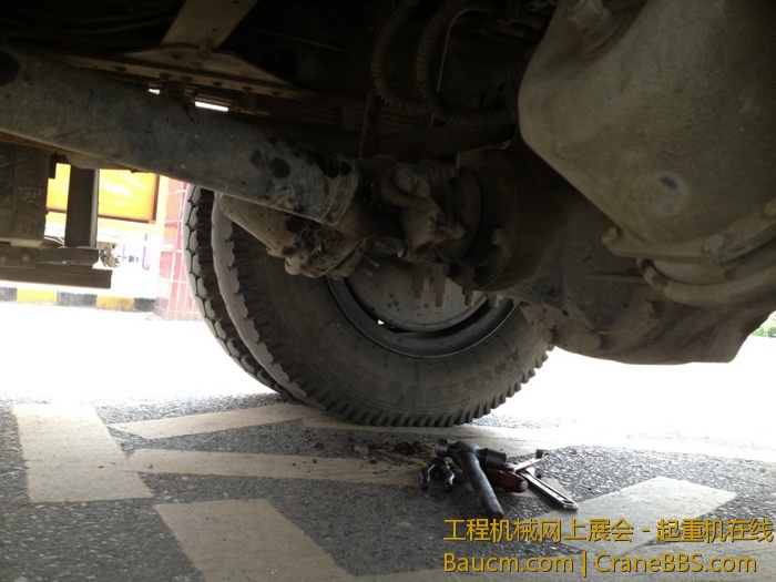 nEO_IMG_毛毛 377.jpg