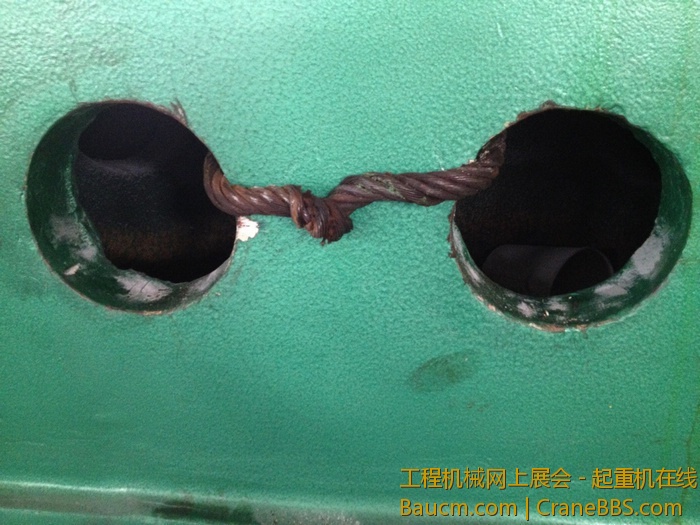 nEO_IMG_毛毛 275.jpg