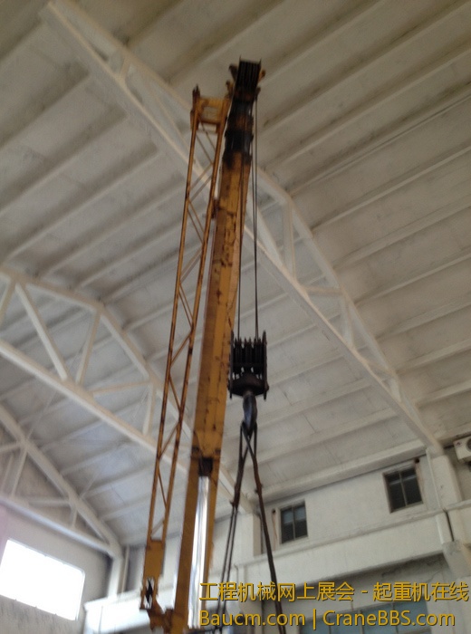 nEO_IMG_毛毛 277.jpg