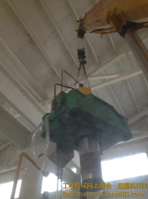 nEO_IMG_毛毛 268.jpg