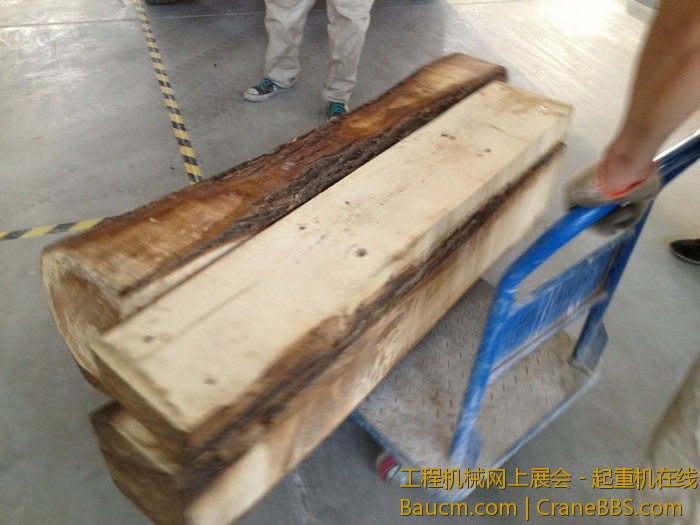 nEO_IMG_毛毛 284.jpg