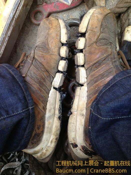 nEO_IMG_毛毛 312.jpg