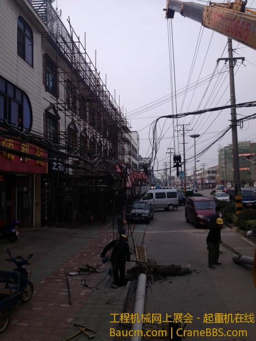 nEO_IMG_毛毛 385.jpg