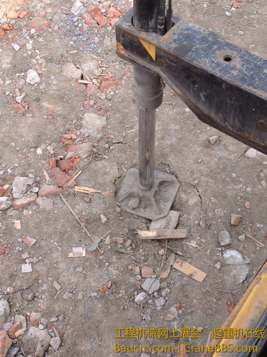 nEO_IMG_毛毛 390.jpg