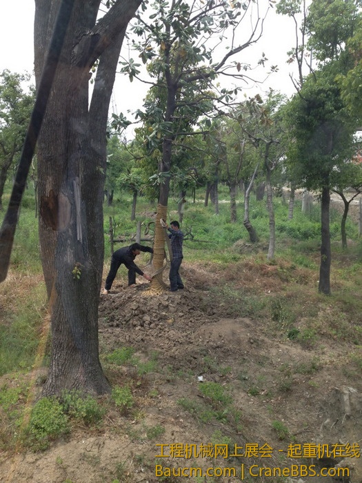 nEO_IMG_毛毛 381.jpg