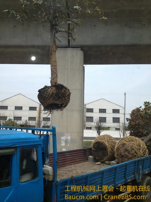 nEO_IMG_毛毛 382.jpg