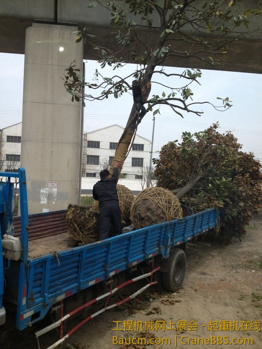 nEO_IMG_毛毛 383.jpg