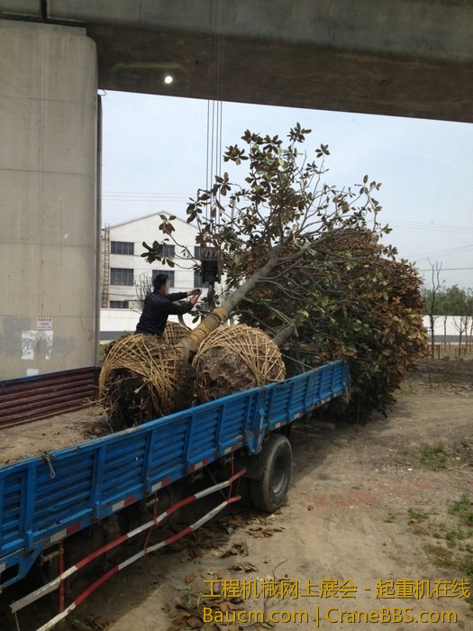 nEO_IMG_毛毛 384.jpg