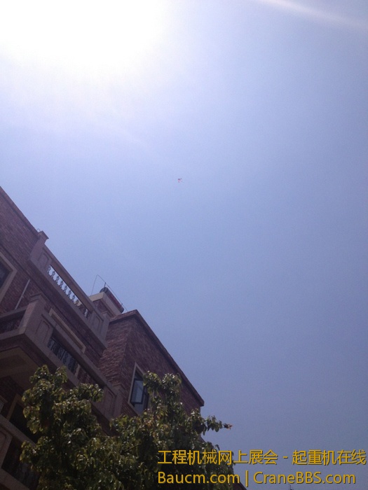 nEO_IMG_毛毛 408.jpg