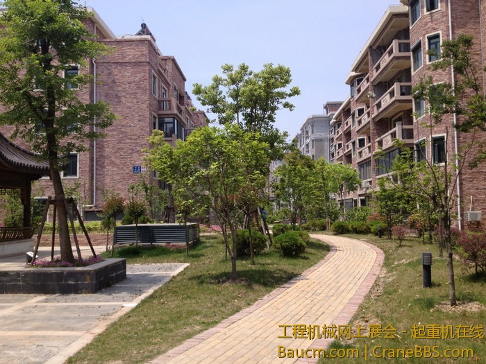 nEO_IMG_毛毛 404.jpg