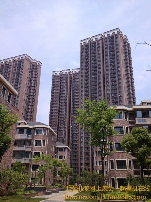 nEO_IMG_毛毛 405.jpg