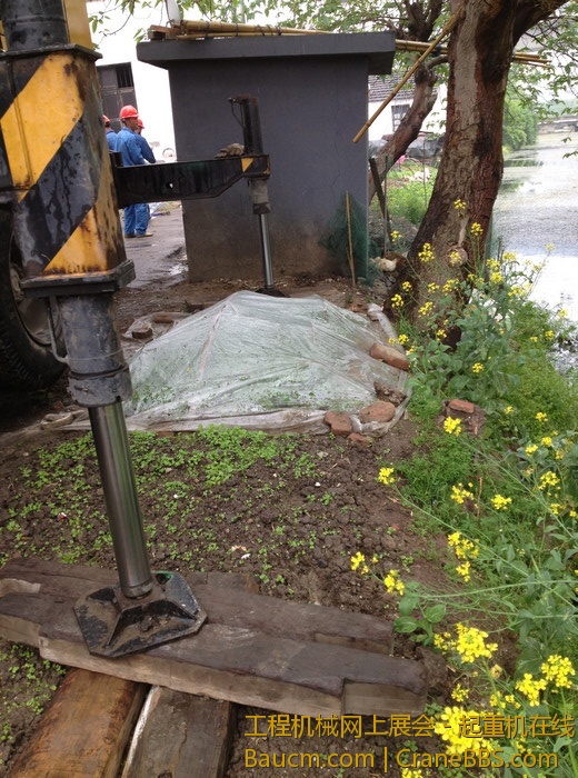 nEO_IMG_毛毛 429.jpg