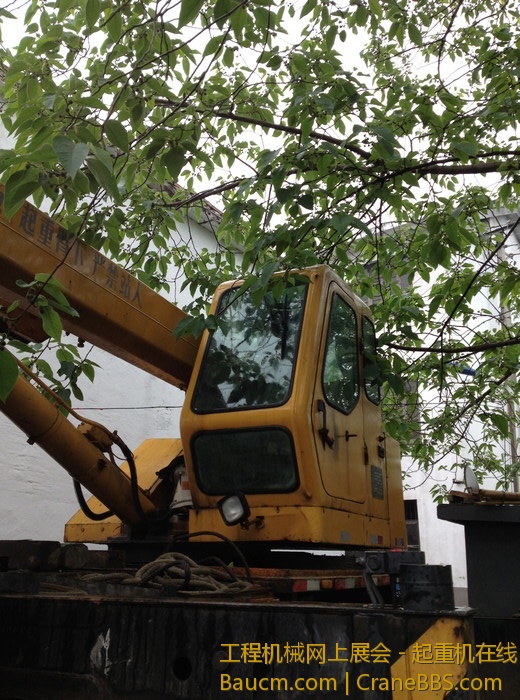 nEO_IMG_毛毛 430.jpg