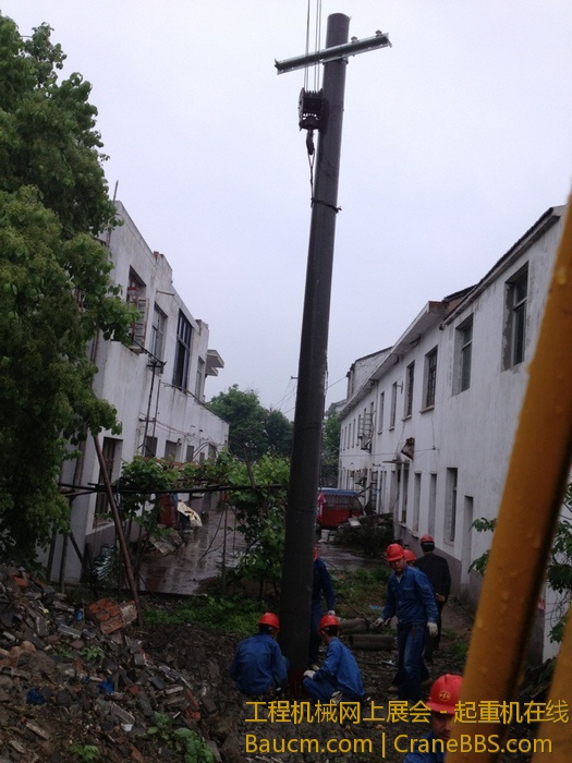 nEO_IMG_毛毛 428.jpg