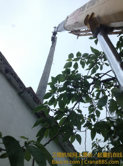 nEO_IMG_毛毛 439.jpg