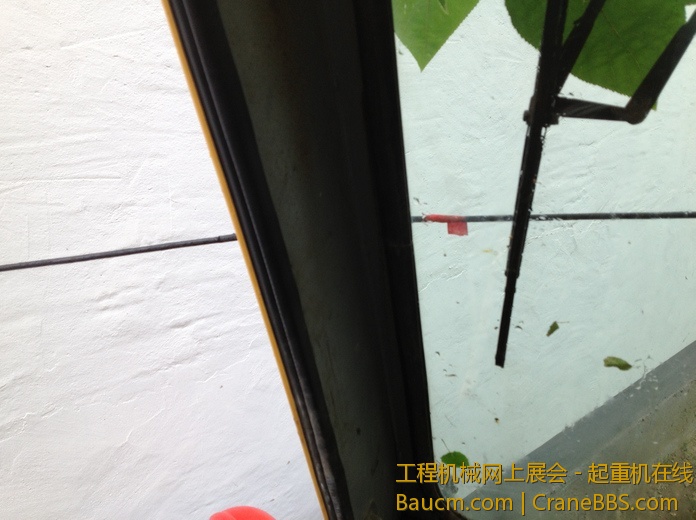 nEO_IMG_毛毛 440.jpg