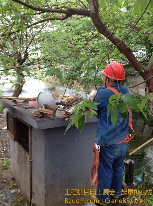 nEO_IMG_毛毛 441.jpg