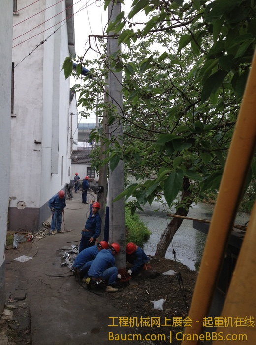 nEO_IMG_毛毛 442.jpg