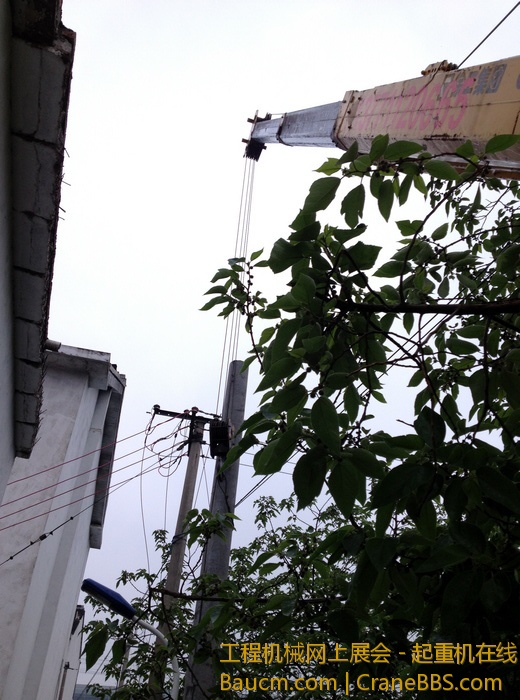 nEO_IMG_毛毛 443.jpg