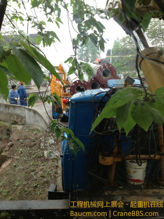 nEO_IMG_毛毛 436.jpg