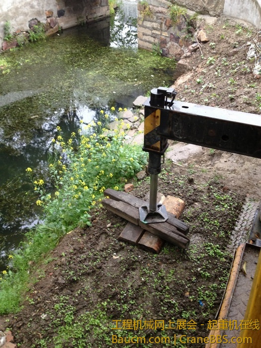 nEO_IMG_毛毛 437.jpg