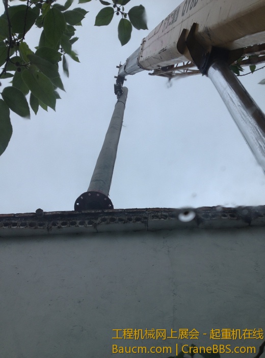 nEO_IMG_毛毛 438.jpg