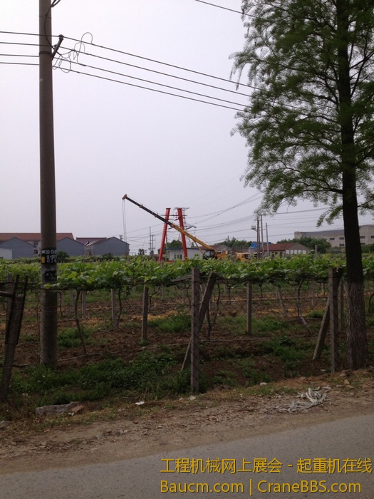 nEO_IMG_毛毛 314.jpg