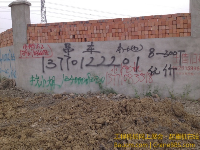 nEO_IMG_毛毛 315.jpg