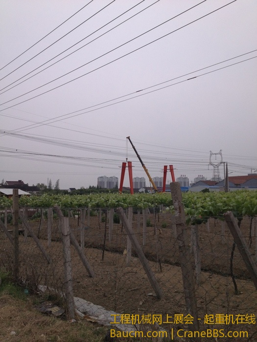 nEO_IMG_毛毛 316.jpg