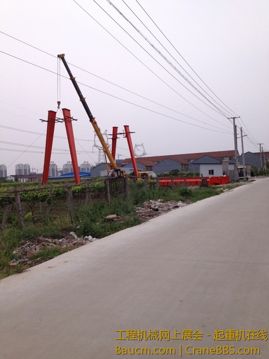 nEO_IMG_毛毛 317.jpg