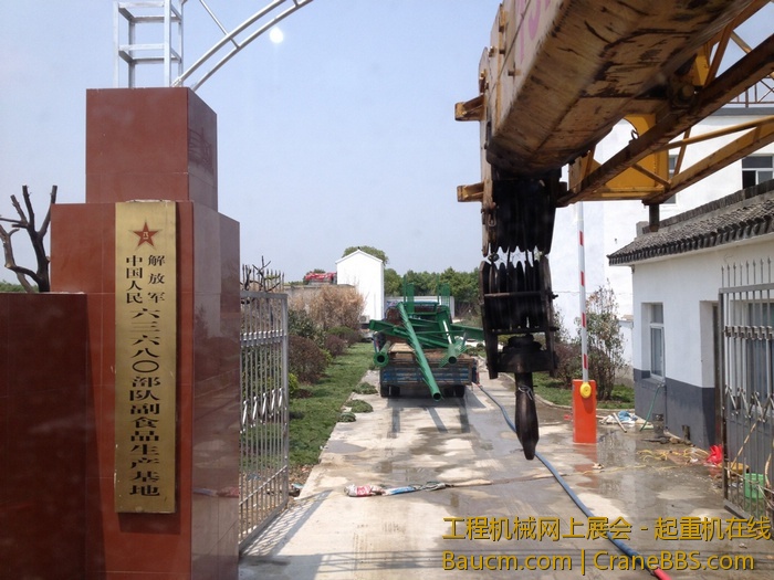 nEO_IMG_毛毛 336.jpg