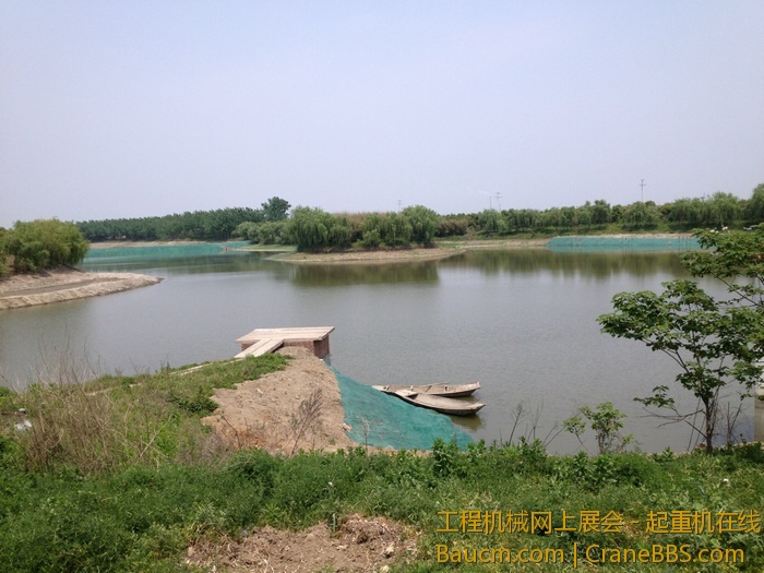 nEO_IMG_毛毛 337.jpg