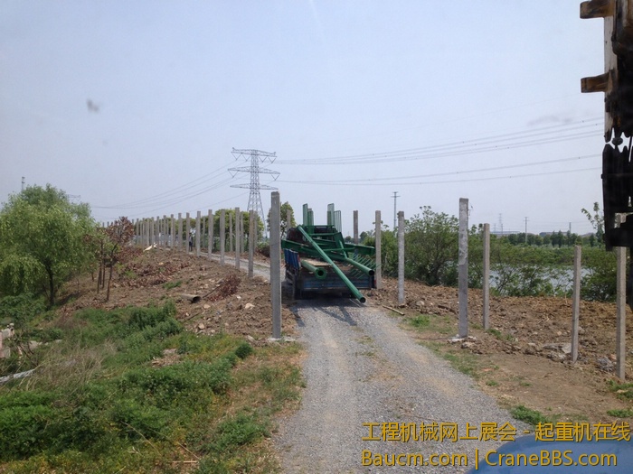 nEO_IMG_毛毛 338.jpg