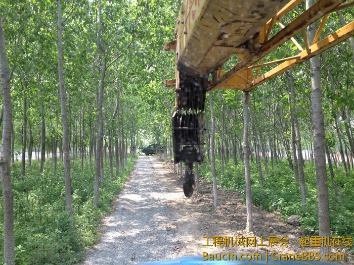 nEO_IMG_毛毛 344.jpg