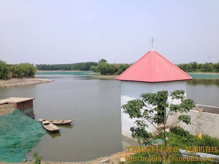 nEO_IMG_毛毛 340.jpg