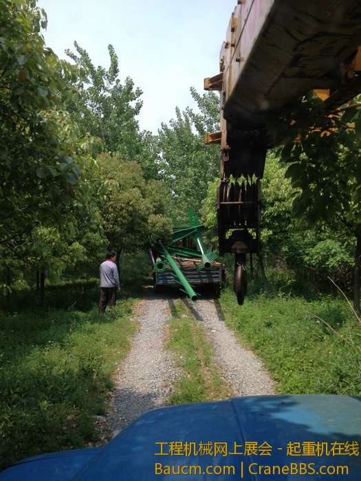 nEO_IMG_毛毛 341.jpg