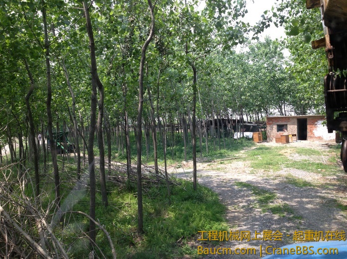 nEO_IMG_毛毛 342.jpg