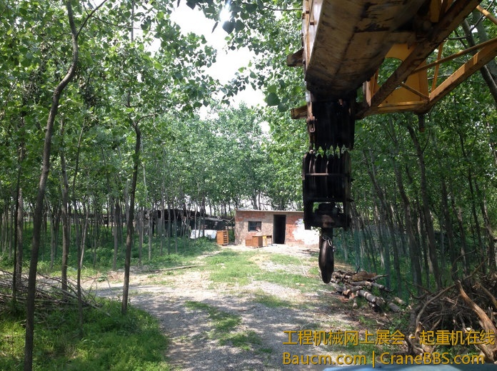 nEO_IMG_毛毛 343.jpg